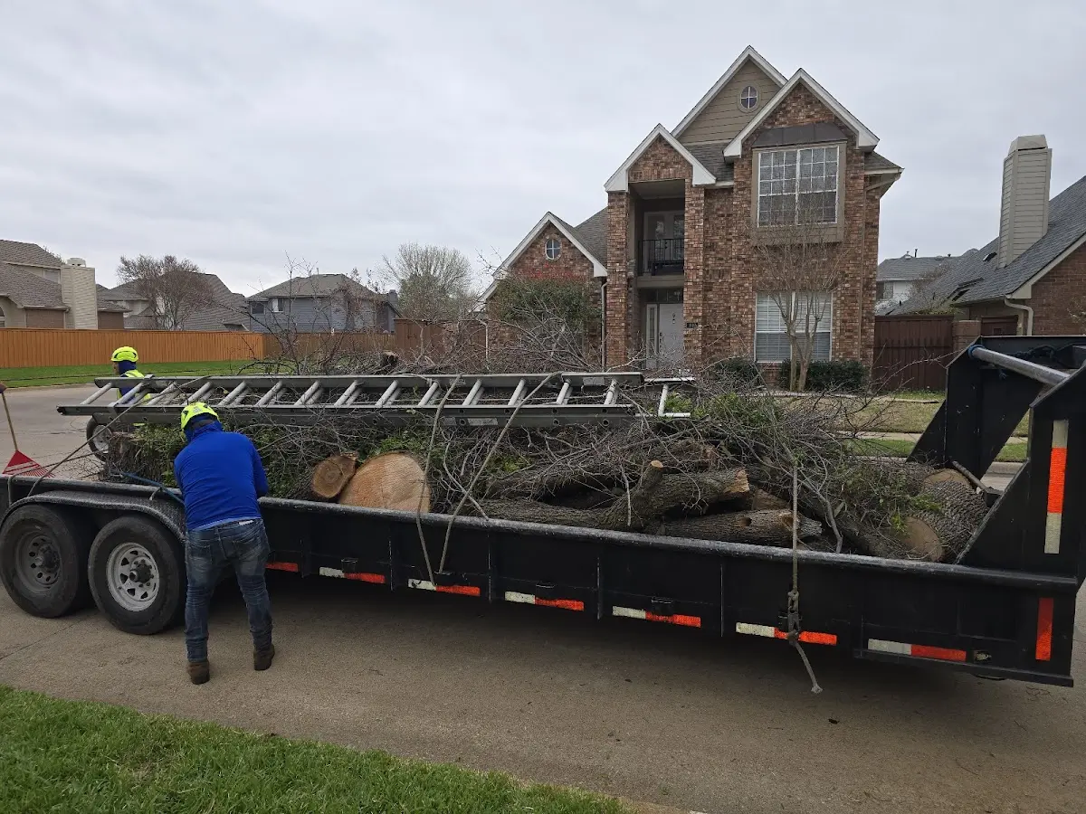 Expert Tree Fertilization with proper safety equipment in Gainesville